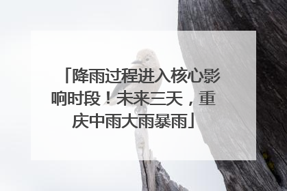 降雨过程进入核心影响时段！未来三天，重庆中雨大雨暴雨