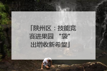 陕州区：技能竞赛进果园 “袋”出增收新希望
