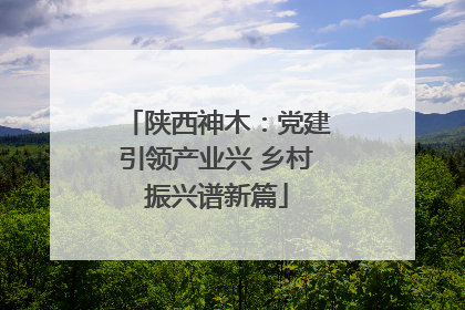 陕西神木：党建引领产业兴 乡村振兴谱新篇