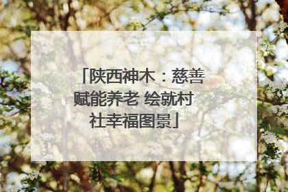 陕西神木：慈善赋能养老 绘就村社幸福图景