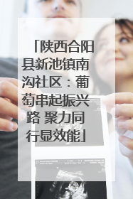 陕西合阳县新池镇南沟社区：葡萄串起振兴路 聚力同行显效能
