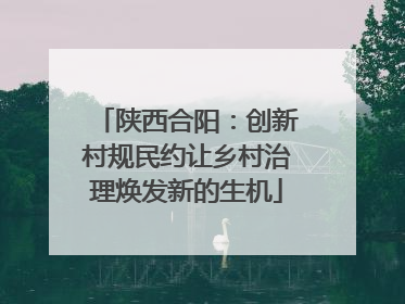 陕西合阳：创新村规民约让乡村治理焕发新的生机
