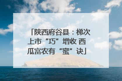 陕西府谷县：梯次上市“巧”增收 西瓜富农有“蜜”诀