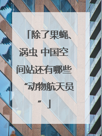 除了果蝇、涡虫 中国空间站还有哪些“动物航天员”