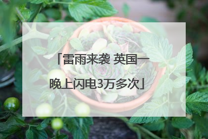 雷雨来袭 英国一晚上闪电3万多次