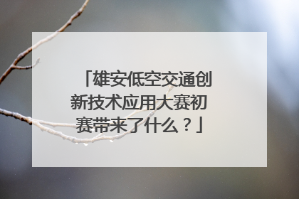 雄安低空交通创新技术应用大赛初赛带来了什么？