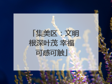 集美区：文明根深叶茂 幸福可感可触