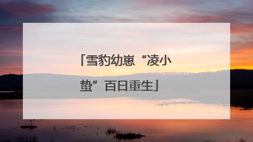 雪豹幼崽“凌小蛰”百日重生