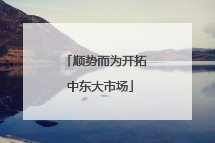 顺势而为开拓中东大市场