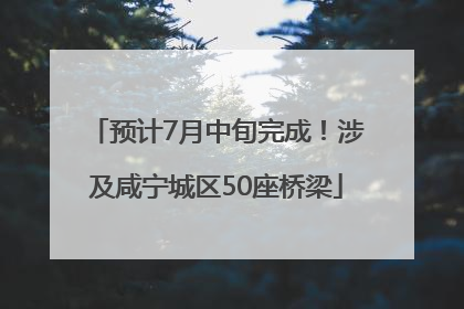 预计7月中旬完成！涉及咸宁城区50座桥梁