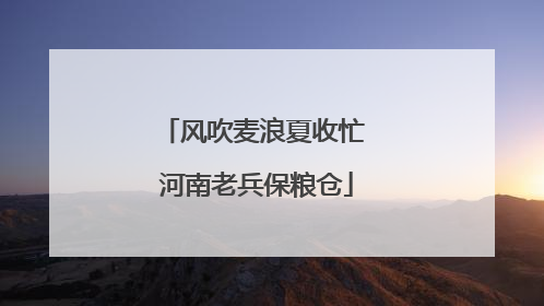 风吹麦浪夏收忙 河南老兵保粮仓