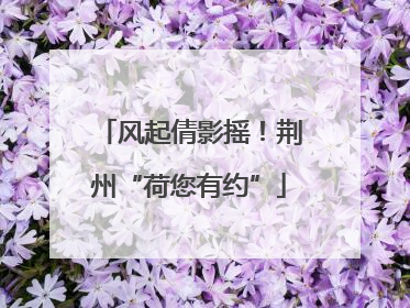 风起倩影摇！荆州“荷您有约”