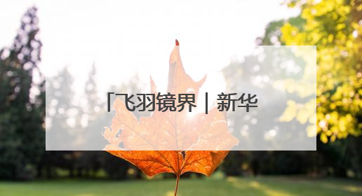 飞羽镜界｜新华社记者对“高原仙子”的四季追寻