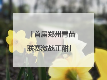 首届郑州青苗联赛激战正酣