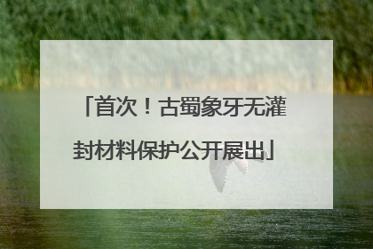 首次！古蜀象牙无灌封材料保护公开展出