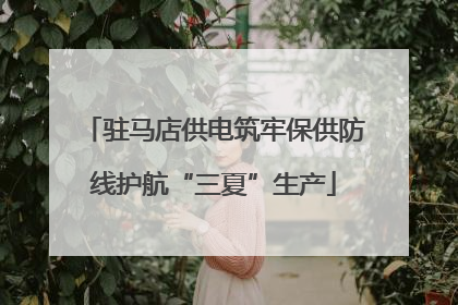 驻马店供电筑牢保供防线护航“三夏”生产