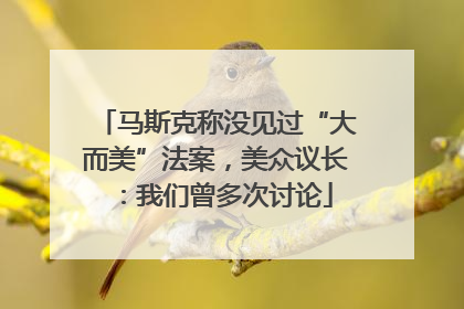 马斯克称没见过“大而美”法案，美众议长：我们曾多次讨论