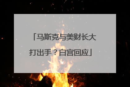 马斯克与美财长大打出手？白宫回应