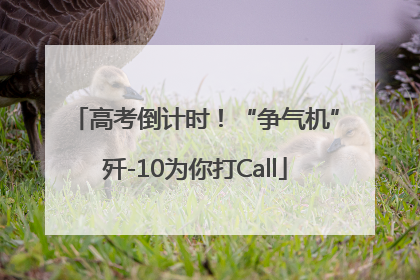 高考倒计时！“争气机”歼-10为你打Call