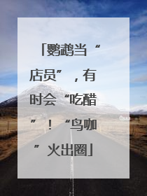 鹦鹉当“店员”，有时会“吃醋”！“鸟咖”火出圈