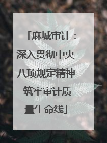 麻城审计：深入贯彻中央八项规定精神 筑牢审计质量生命线