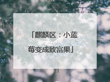 麒麟区：小蓝莓变成致富果