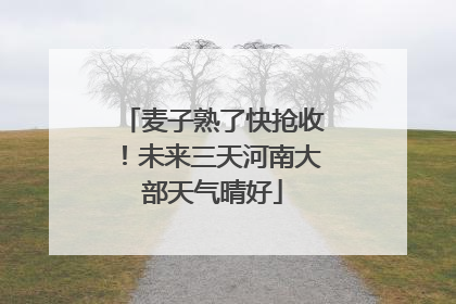 麦子熟了快抢收！未来三天河南大部天气晴好