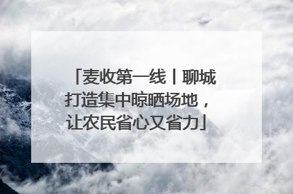 麦收第一线丨聊城打造集中晾晒场地，让农民省心又省力