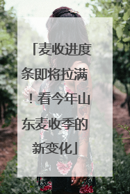 麦收进度条即将拉满！看今年山东麦收季的新变化