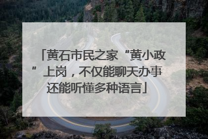 黄石市民之家“黄小政”上岗，不仅能聊天办事还能听懂多种语言