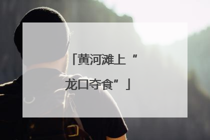 黄河滩上“龙口夺食”
