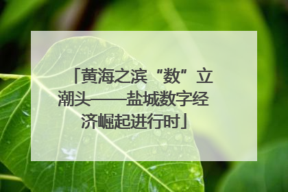 黄海之滨“数”立潮头——盐城数字经济崛起进行时