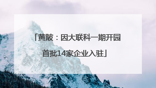 黄陂：因大联科一期开园 首批14家企业入驻