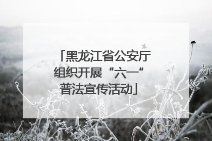 黑龙江省公安厅组织开展“六一”普法宣传活动