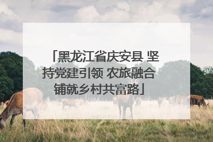 黑龙江省庆安县 坚持党建引领 农旅融合铺就乡村共富路