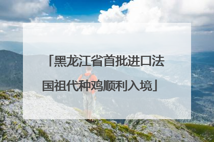 黑龙江省首批进口法国祖代种鸡顺利入境