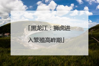 黑龙江：狮虎进入繁殖高峰期