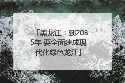 黑龙江：到2035年 要全面建成现代化绿色龙江