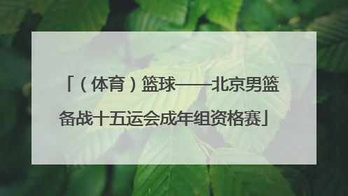 （体育）篮球——北京男篮备战十五运会成年组资格赛