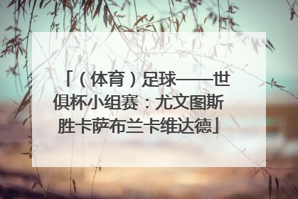 （体育）足球——世俱杯小组赛：尤文图斯胜卡萨布兰卡维达德