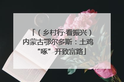 （乡村行·看振兴）内蒙古鄂尔多斯：土鸡“啄”开致富路