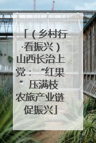 （乡村行·看振兴）山西长治上党：“红果”压满枝 农旅产业链促振兴