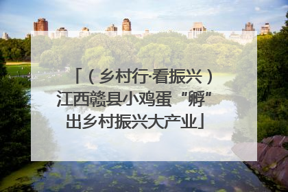 （乡村行·看振兴）江西赣县小鸡蛋“孵”出乡村振兴大产业