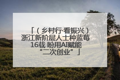 （乡村行·看振兴）浙江新阶层人士种蓝莓16载 盼用AI赋能“二次创业”