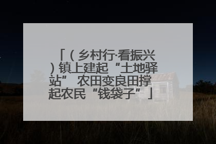 （乡村行·看振兴）镇上建起“土地驿站” 农田变良田撑起农民“钱袋子”