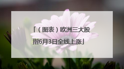 （图表）欧洲三大股指6月3日全线上涨