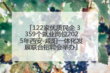 122家优质民企 3359个就业岗位2025年西安-咸阳一体化发展联合招聘会举办