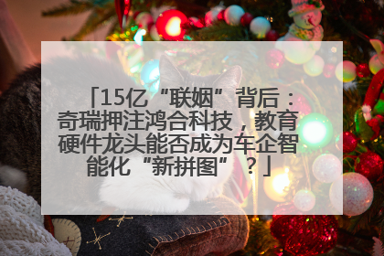 15亿“联姻”背后：奇瑞押注鸿合科技，教育硬件龙头能否成为车企智能化“新拼图”？