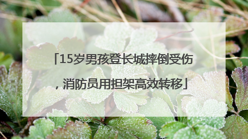 15岁男孩登长城摔倒受伤，消防员用担架高效转移