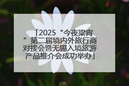 2025“今夜梁宵”第二届境内外旅行商对接会暨无锡入境旅游产品推介会成功举办
